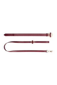 Thumbnail for Ouch by Shots Toys - Halo - Collar with Leash - Burgundy - Stag Shop