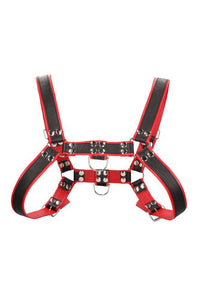 Thumbnail for Ouch by Shots Toys - Bulldog Chest Harness - Red - SM - Stag Shop
