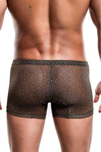 Thumbnail for MaleBasics - Pouch Boxer - Leopard Print - Stag Shop