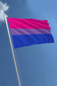 Thumbnail for Stag Shop - Pride Flag - Bisexual - 3' x 5' - Stag Shop