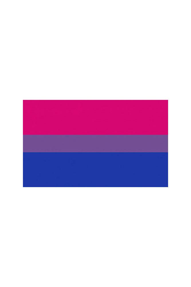 Stag Shop - Pride Flag - Bisexual - 3' x 5' - Stag Shop