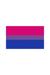 Thumbnail for Stag Shop - Pride Flag - Bisexual - 3' x 5' - Stag Shop