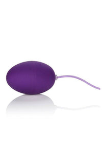Thumbnail for Cal Exotics - Pocket Exotics - Waterproof Egg Vibrator - Purple - Stag Shop