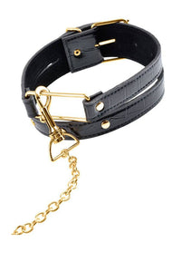Thumbnail for Pipedream - Fetish Fantasy Gold - Collar & Leash Set - Gold/Black - Stag Shop
