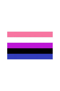 Thumbnail for Stag Shop - Pride Flag - Gender Fluid - 3' x 5' - Stag Shop