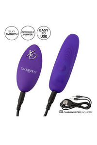 Thumbnail for Cal Exotics - Lock-N-Play Remote Pulsating Panty Teaser - Purple - Stag Shop