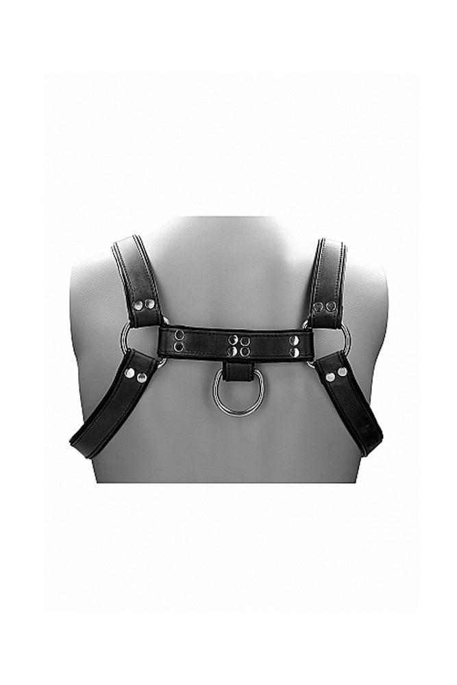 Shots Toys - Pain - Leather Male Chest Harness - Black - Stag Shop