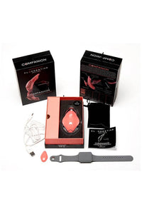 Thumbnail for Clandestine - Companion Wearable Remote Control Panty Vibrator - Coral - Stag Shop