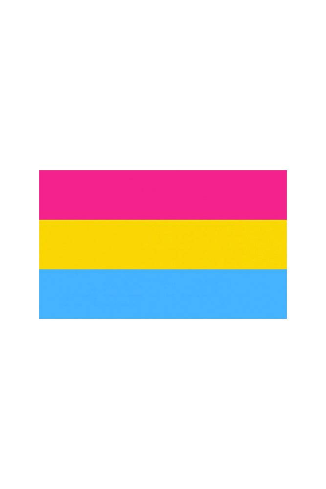 Stag Shop - Pride Flag - Pan Sexual - 3' x 5' - Stag Shop