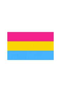 Thumbnail for Stag Shop - Pride Flag - Pan Sexual - 3' x 5' - Stag Shop