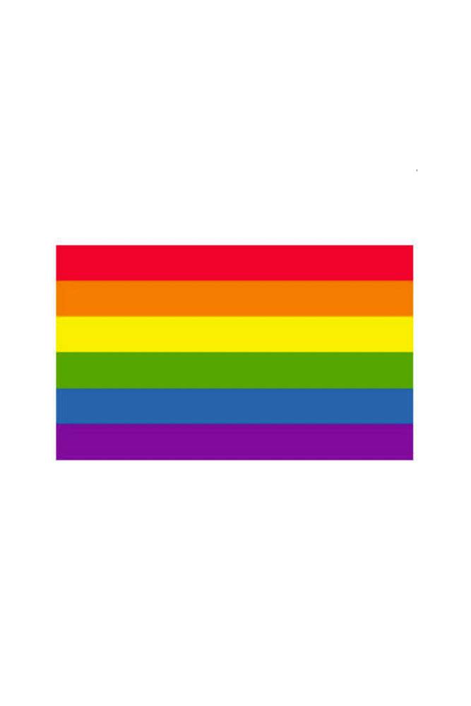 Stag Shop - Pride Flag - Rainbow - 5 x 8 Inches - Stag Shop