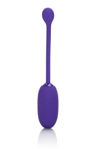 Thumbnail for Cal Exotics - Rechargeable Kegel Ball Starter - Purple - Stag Shop