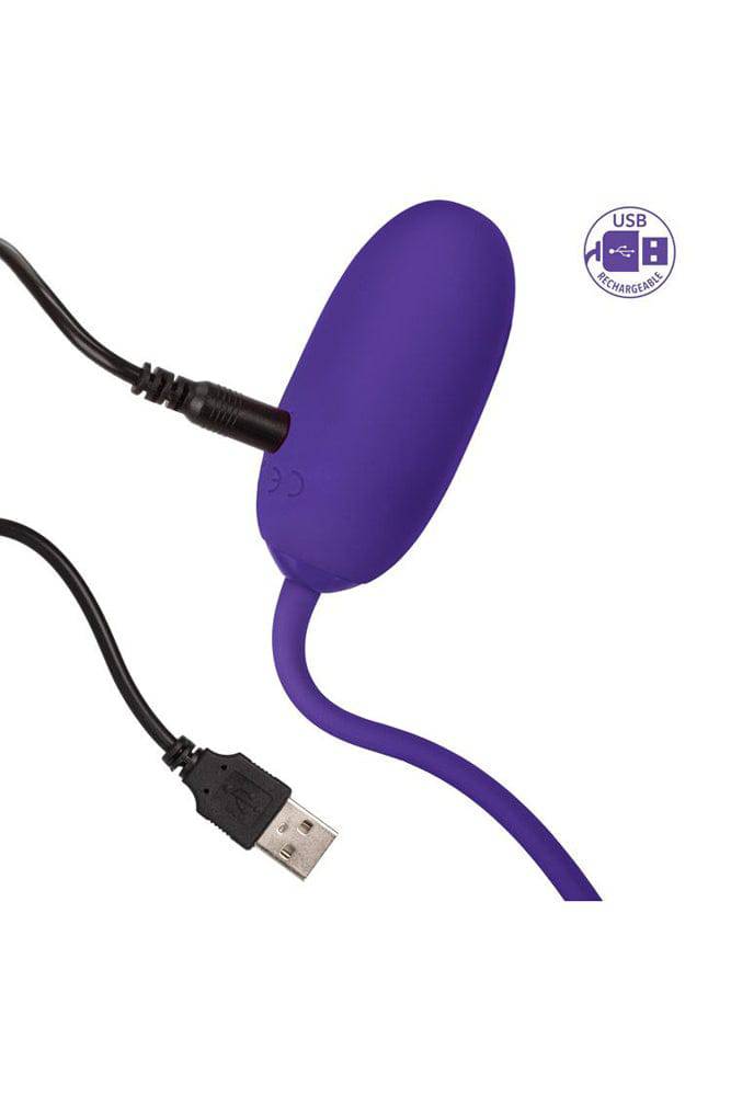 Cal Exotics - Rechargeable Kegel Ball Starter - Purple - Stag Shop