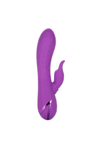 Thumbnail for Cal Exotics - California Dreaming - Valley Vamp Vibrator - Purple - Stag Shop