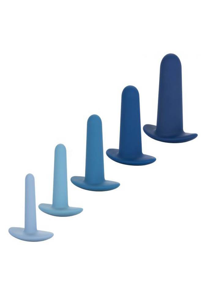 Cal Exotics - They-ology 5-Piece Wearable Anal Training Set - Stag Shop