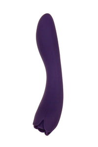 Thumbnail for Evolved - Thorny Rose Dual-Ended Vibrator - Purple - Stag Shop