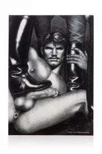 Thumbnail for XR Brands - Tom of Finland - Stainless Steel Ball Crusher - Stag Shop