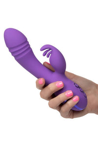 Thumbnail for Cal Exotics - California Dreaming - West Coast Wave Rider - Dual Vibrator - Purple - Stag Shop